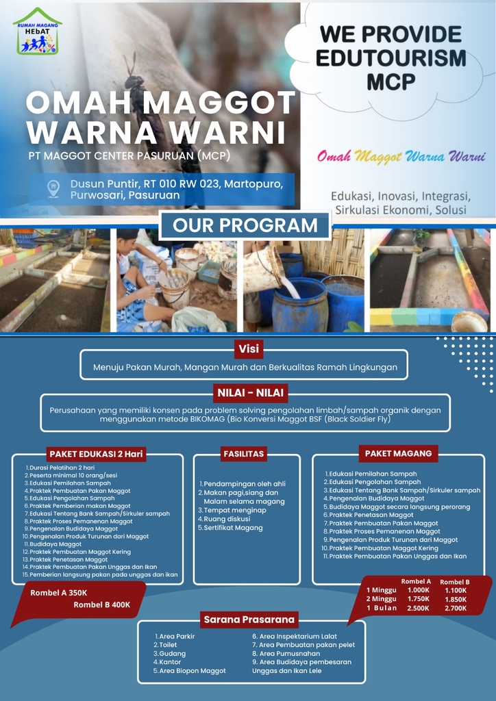 OMAH MAGGOT WARNA WARNI
